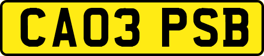 CA03PSB