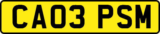 CA03PSM