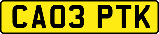CA03PTK