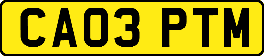 CA03PTM