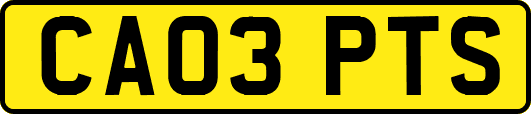 CA03PTS