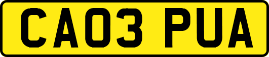 CA03PUA
