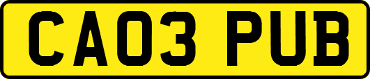 CA03PUB