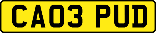CA03PUD