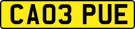 CA03PUE