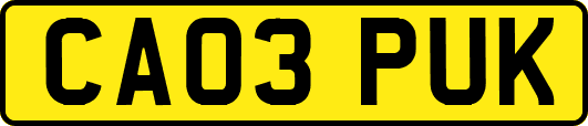 CA03PUK