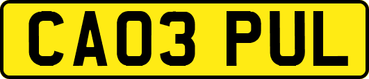 CA03PUL