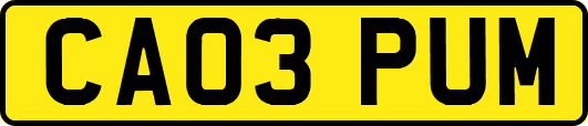 CA03PUM