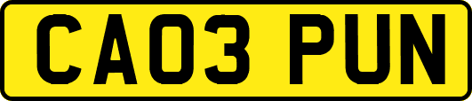 CA03PUN