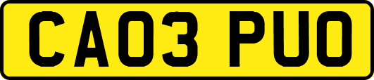 CA03PUO
