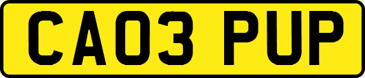 CA03PUP