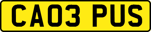 CA03PUS