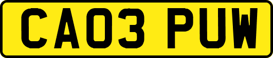 CA03PUW
