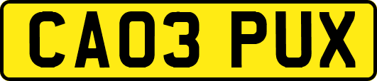 CA03PUX