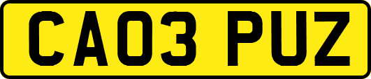 CA03PUZ