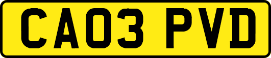 CA03PVD