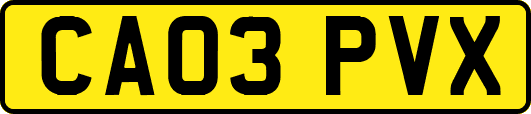 CA03PVX