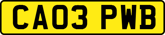 CA03PWB