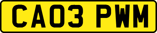 CA03PWM