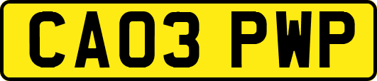 CA03PWP