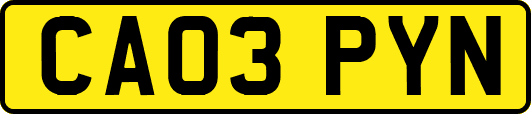 CA03PYN
