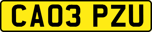 CA03PZU
