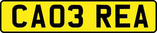 CA03REA