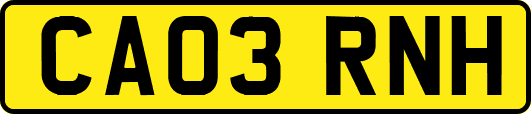 CA03RNH