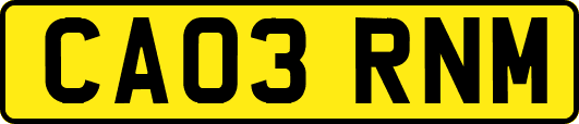 CA03RNM