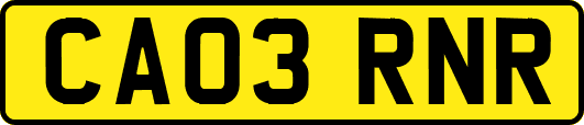 CA03RNR