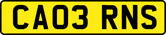 CA03RNS