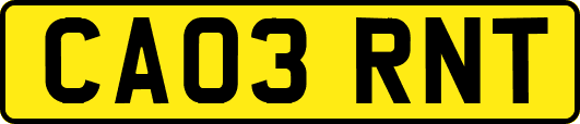 CA03RNT