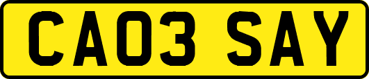 CA03SAY