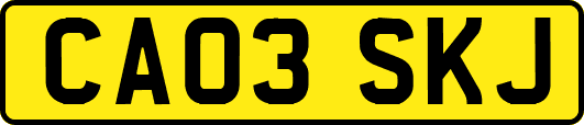 CA03SKJ