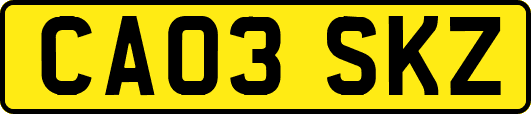 CA03SKZ