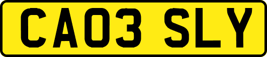 CA03SLY