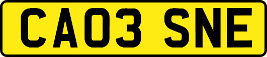 CA03SNE