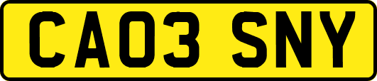 CA03SNY