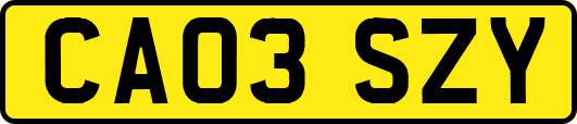 CA03SZY