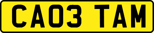 CA03TAM