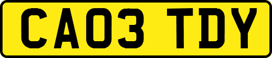 CA03TDY