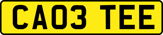 CA03TEE