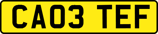 CA03TEF