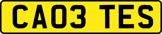 CA03TES