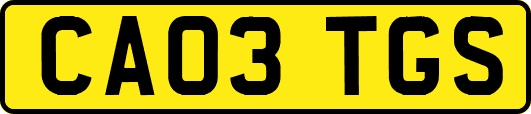 CA03TGS