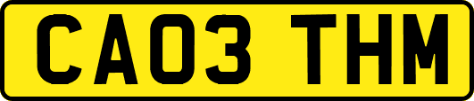 CA03THM