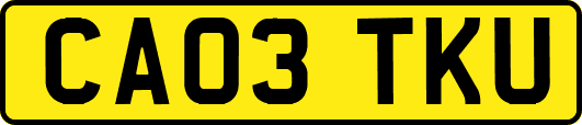 CA03TKU
