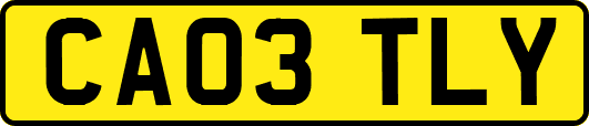 CA03TLY