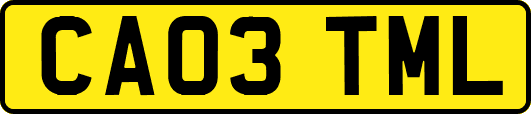 CA03TML
