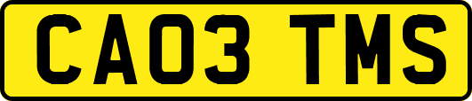 CA03TMS